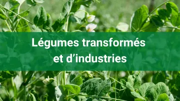 Légumes transformés